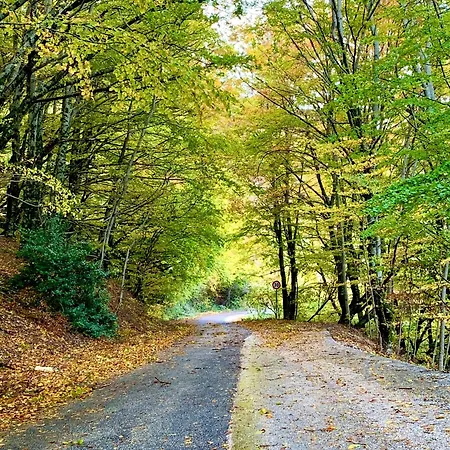 La Loggia Luxury Διαμέρισμα Rocca di Mezzo