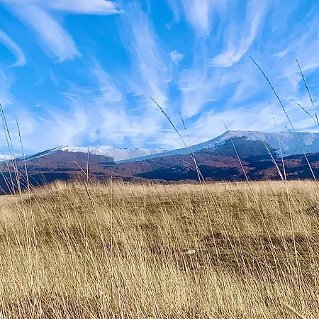 La Loggia Luxury アパート *